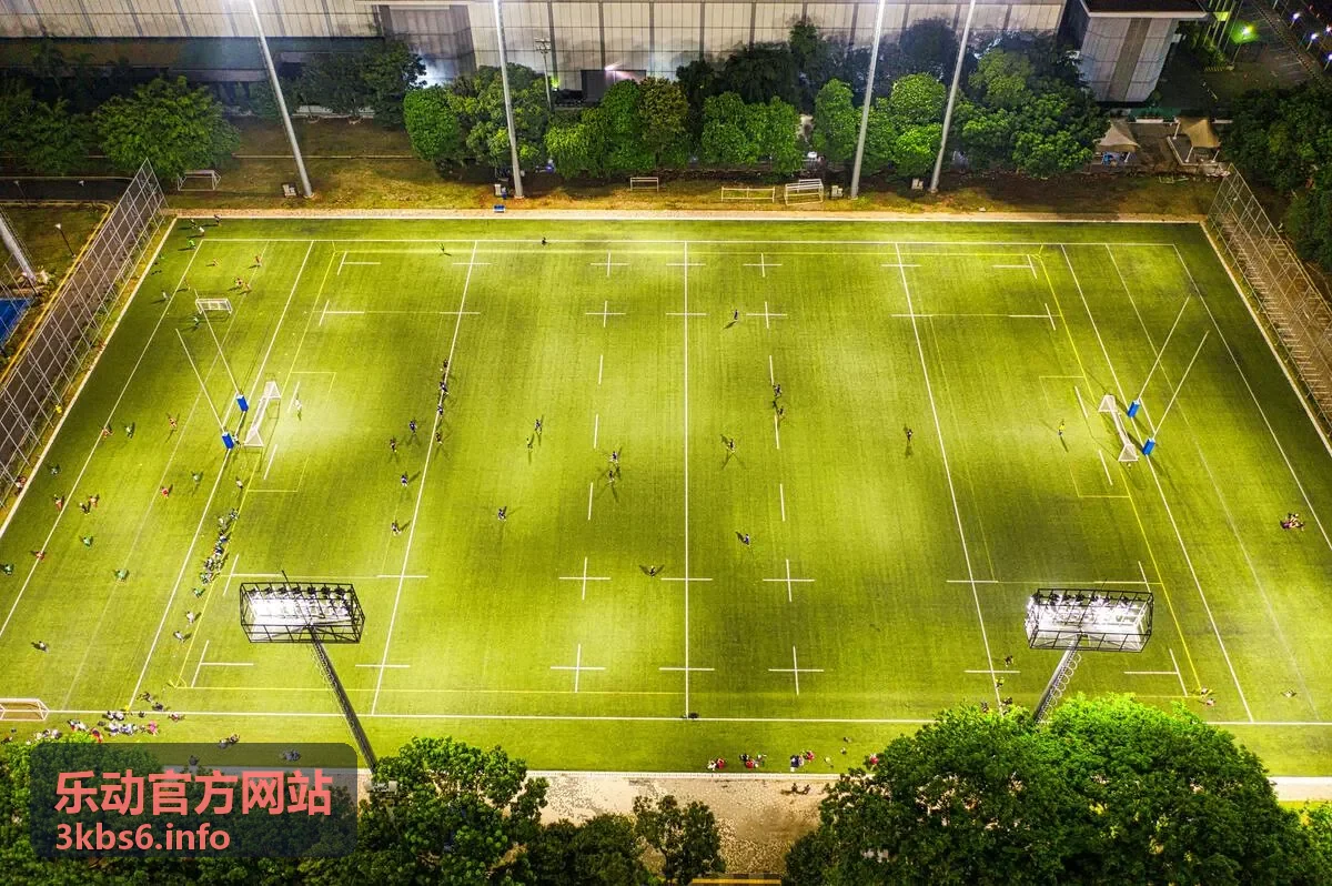 乐动连续打卡天数奖励一览